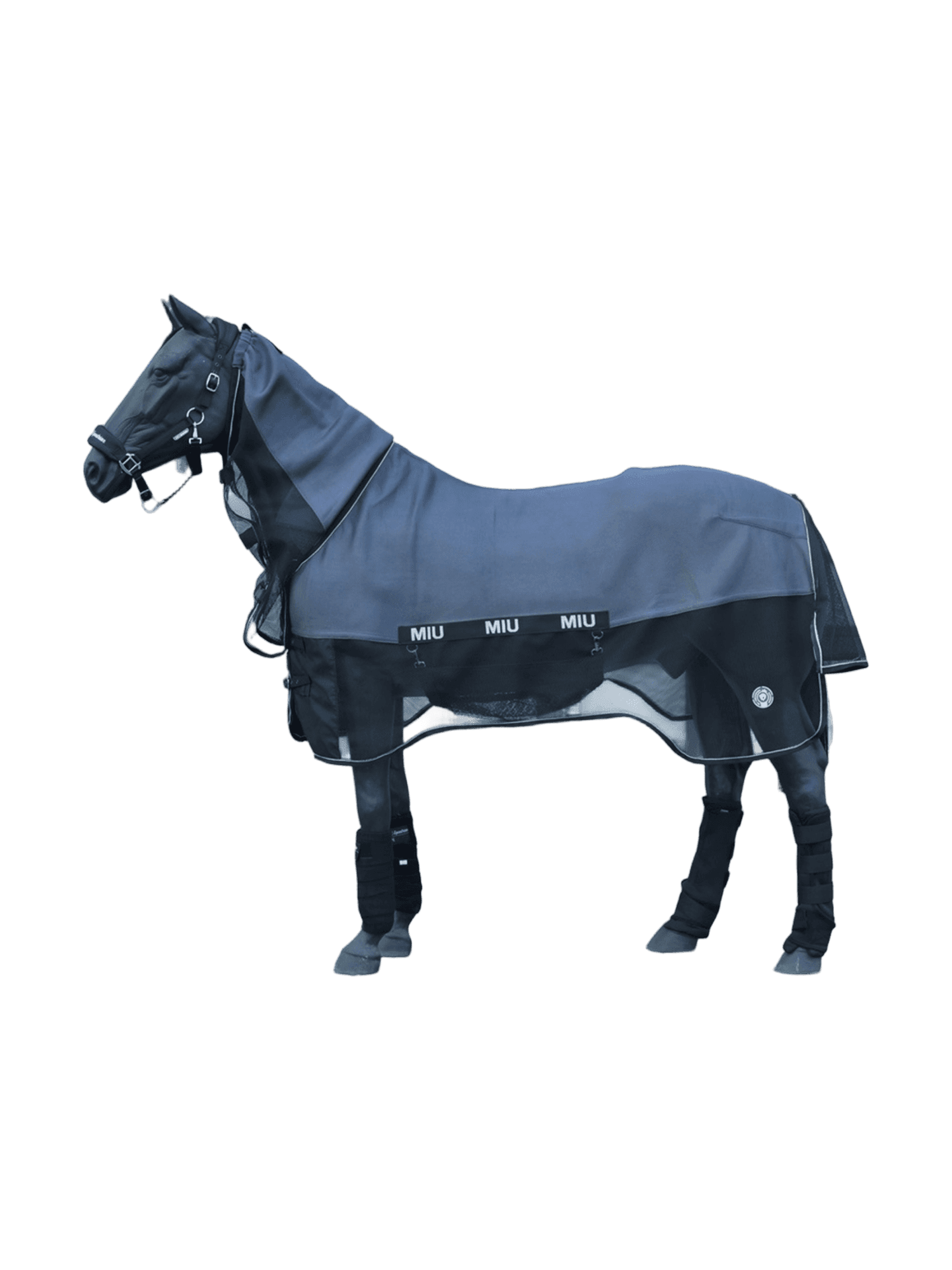 Конные путешествия
и прогулки