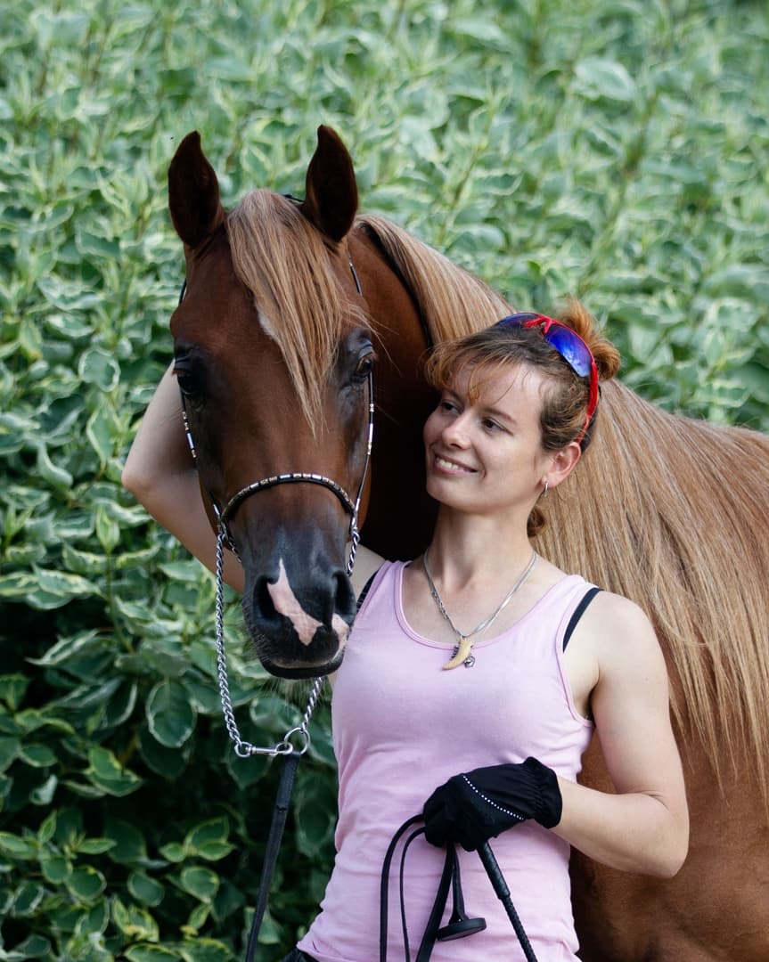 Хендлер лошадей