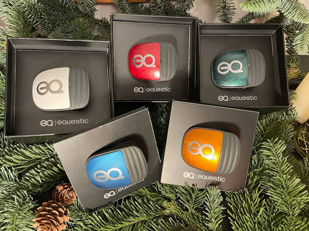 Датчик движения Equestic