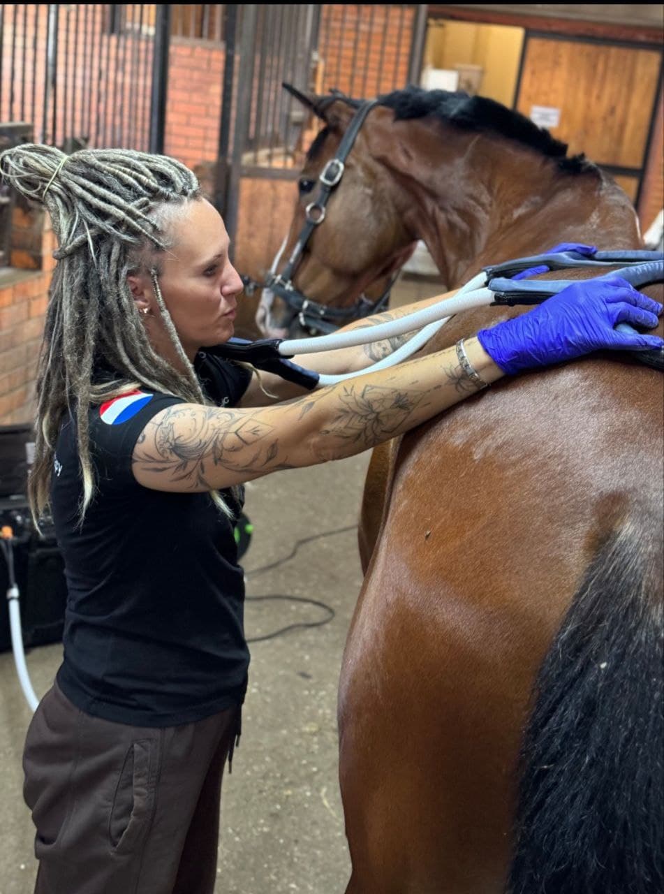 Физиотерапия лошадей